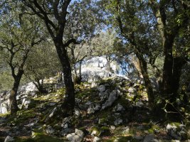 Artitzako Malkorra: azken txanpa HEko bizkarrean gora