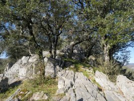 Artitzako Malkorra tontorra