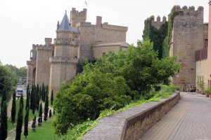 Nafarroako Errege-erreginen Jauregia, Erriberri