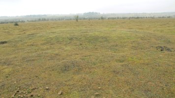 El Espinar Sur 1 tumulua, Urbasa