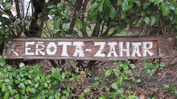 Errota Zahar errota, Altsasu