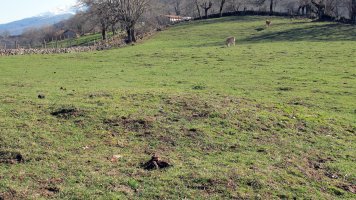 Indarteko Borda etxola hondoa, Beartzun-Baztan