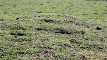 Indarteko Borda etxola hondoa, Beartzun-Baztan