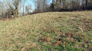 Larraldeko Borda etxola hondoa, Gartzain-Baztan