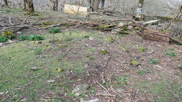 Indarteko borda 1, Gartzain-Baztan