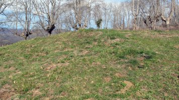 Indarteko Borda 3 etxola hondoa, Gartzain-Baztan