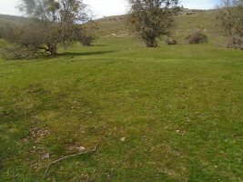 ingiriko portillua 3