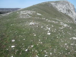 Túmulo Usaide (04-2023)