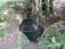 Legarreako Lezea, Gaztelu-Donamaria