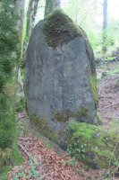 Arbotante 3 zutarria, Donamaria