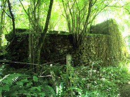 Errotako hondakinak, Ezkurra