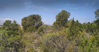 Gailurra, kokatzeko erraza ez dena