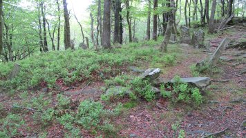 Baraxar Pagoxar harrespila, Goizueta