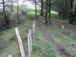 Cromlech Ibintza nº 3 ( 08-2014)