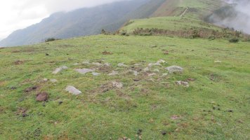 Zipuru tumulua, Arantza