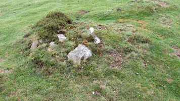 Mairubaratzeta zista, Sunbilla