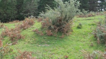 Bulatxiki etxola hondoa, Arantza-Sunbilla