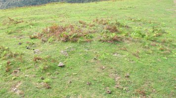 Bulatsegi tumulua 2, Sunbilla