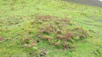 Bulatsegi tumulua 3, Sunbilla