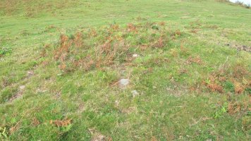 Bulatsegi tumulua 4, Sunbilla