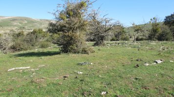 Soosa 21 tumulua, Andia