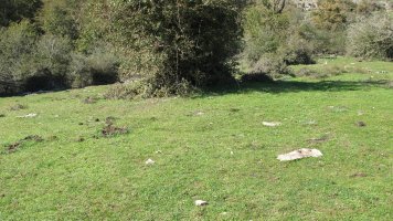 Soosa 13 etxola hondoa, Andia