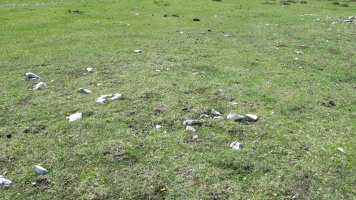 Balsa Fria 3 tumulua, Andia