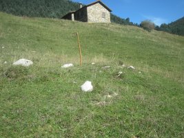 Túmulo Zuriza (09-2023)