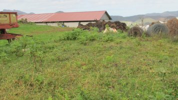 Meakako Gaña tumulua, Igantzi