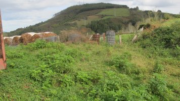 Meakako Gaña tumulua, Igantzi