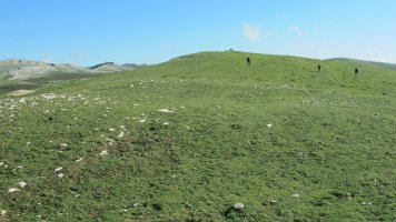 Erlotxiki 4 eraztun tumulua, Andia