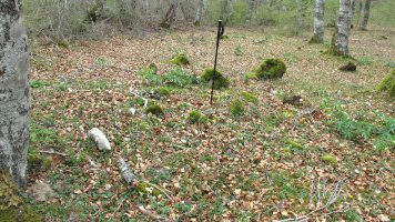 Bagaritxa 3 tumulua, Goñi