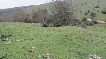 Poken tumulua, Andia