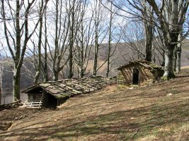 Bordak Ezkitz aldean