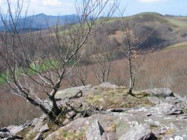 Ezkitz tontorretik inguruetara begira