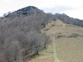 Ezkitz Larrondo aldeko bidetik