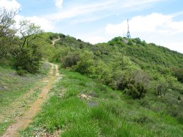 Zaldiaran Mtik, Busto aldetik datorren bidetik