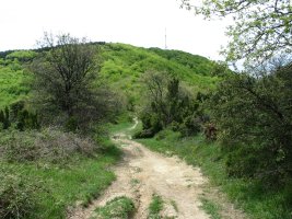 Bustuko Gana, ekialdetik