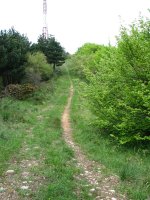 Bustuko Gana, tontorraren inguruak