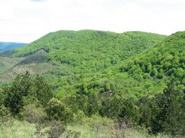 Zaldiaran aldetik ikusita