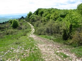 Gandorra zeharkatzen duen pista