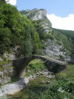 Zubia Belaguako errepidearen bazterrean