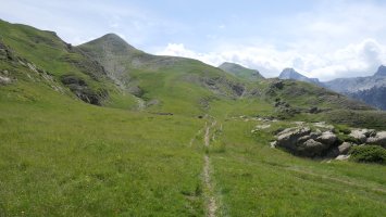 Lintzako lepora igotzen