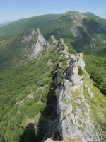 Allegain aldetik ikusita, ezin gandorrean aurrera egin.