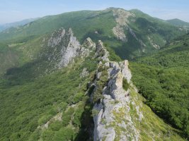 Allegain aldetik ikusita, ezin aurrera egin gandorrean.