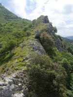 Allegaingo ertza, Bihaizpeko gandorreko erdi-bidetik ikusita