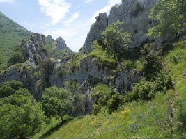 Eskubi aldeko horma horren oinean dago aipatutako erlaitza eta kablea