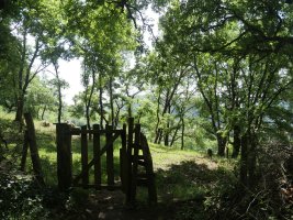 Ataka itxita Plazaolara jaisterakoan, atzera egin behar