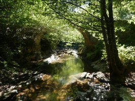 Arrobiko erromatarren zubia