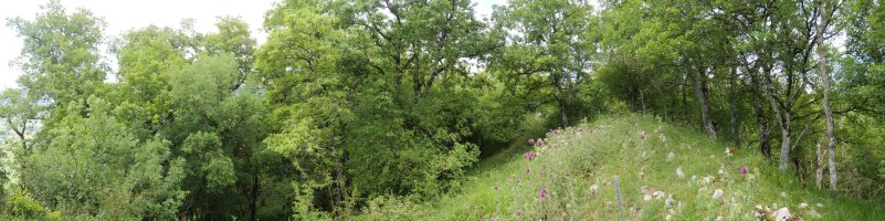 Artebakar, ekialdeko bizkarreko pasarte bat, tontorretik gertu